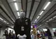 Tren de călători evacuat în Elveţia, după spargerea unui container cu virusuri ale gripei porcine
