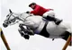 Romanian tourism to be embellished with an equestrian circuit, minister promises