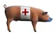 Ciocniri violente la Cairo, între crescătorii de porci şi poliţia care vrea să sacrifice animalele