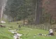 Ce lasă în urmă turiştii - rezervaţia  Piatra Craiului