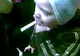 O fetiţă de doar trei ani din Bucureşti fumează, încurajată de familie