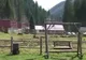 Asociaţia Naţională de Turism oferă sejururi în ţară la 150 de lei 