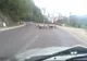 Turmă de oi pe un drum european