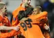 Doi români în finala Cupei UEFA! Mircea Lucescu şi Răzvan Raţ merg la Istanbul cu Şahtior!