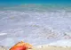 Agenţiile de turism oferă vacanţe în insulele celebrităţilor 