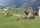 Măgura, gura de rai din Munţii Piatra Craiului
