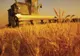 Descentralizarea Ministerului Agriculturii ar putea însemna şi reduceri de personal