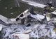 Şase morţi într-un accident aviatic petrecut în Guatemala City 