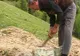 Ultimul moţ cioplitor în piatră trăieşte în satul Băreşti din Apuseni 