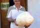 O ciupercă imensă a crescut în grădina unui pensionar din Bahna, judeţul Mehedinţi