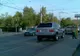 Bivolii din trafic