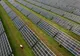 CJ Timiş vrea să construiască un parc cu panouri solare, pe o suprafaţă de 60 de hectare