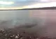 Peturi aruncate pe un lac de acumulare din Bacău