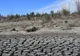 I. Sârbu: Suprafaţa irigată din România va creşte până la 760.000 de hectare