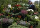 Traian Băsescu a oferit bomboane unor copii şi a primit flori de la expozanţii Expo Flora