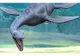 Rămăşiţele unei creaturi asemănătoare cu monstrul din Loch Ness, găsite pe o plajă din Marea Britanie