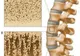Ministerul Sănătăţii va implementa ghiduri terapeutice pentru mai multe patologii