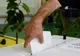 Un număr de 89.373 de cetăţeni români vor să voteze în statul unde îşi au domiciliul sau reşedinţa