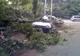 Imagini după furtună, în Bucureşti