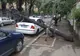 Strada Londra din Capitală - copaci căzuţi în urmja furtunii