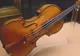Un vasluian a fost prins în timp ce încerca să vândă o vioară inscripţionată "Stradivarius"