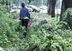 Vijeliile din 9 iunie au făcut ravagii în 14 judeţe ale ţării, potrivit bilanţului MAI