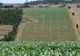 Agricultura are un rol primordial pentru reducerea emisiilor de gaze cu efect de seră, potrivit FAO