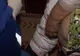 Două femei din Timişoara au fost atacate de o haită cu 30 de câini 