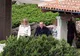 El Pais a publicat fotografii de la petrecerile lui Berlusconi la vila sa - FOTO