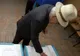 NewsIn: O persoană a murit într-o secţie de votare din Prahova, iar în Mangalia membrul unei comisii a făcut atac de cord