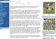 "Fanii români speră într-o renaştere a naţionalei sub conducerea lui Lucescu", scrie site-ul FIFA