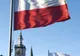 Polonia confirmă primul său caz de contaminare internă cu virusul gripei porcine