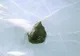 Un adolescent a supravieţuit după ce a fost lovit de un meteorit