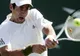 Tenis: Tommy Haas - Novak Djokovic, finala turneului de la Halle