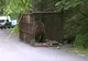 Acţiunea de capturare a urşilor din Sinaia a continuat şi luni seară