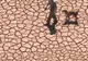 Prognoza ANM: Secetă şi temperaturi de peste 35 de grade în întreaga ţară, în iulie şi august