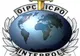 Interpol a solicitat Judecătoriei Sectorului 1 Bucureşti să ceară extrădarea lui Necolaiciuc