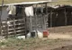 Un băiat de 12 ani din Bacău îşi întreţinea tatăl muncind într-o stână