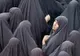 Fiica fostului preşedinte iranian Rafsanjani a fost eliberată, afirmă televiziunea de stat