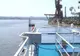 Românii se înghesuie să se angajeze pe nave de croazieră