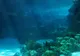 Cercetătorii au descoperit zona cea mai lipsită de viaţă din ocean