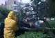 Furtunile au făcut ravagii în mai multe zone ale ţării