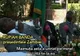 O maimuţă a urinat pe preşedintele Zambiei, în timpul unui discurs 