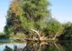Rezervaţia Biosfera Delta Dunării a depus amendamente la ordinul privind taxa de acces în rezervaţie