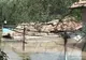 O adolescentă din Bihor a murit după ce căruţa în care se afla a fost luată de o viitură