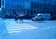 Cai la plimbarea, pe un bulevard din Baia Mare