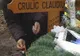 Trei persoane au fost puse oficial sub acuzare în cazul Crulic