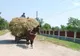 România rămâne blocată în capcana sărăciei şi din cauza îmbătrânirii populaţiei, scrie Die Presse