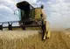 Pogea: Agricultorii vor putea garanta creditele cu certificate de depozit