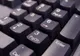 În Timişoara există un program incubator de afaceri pentru firme IT 